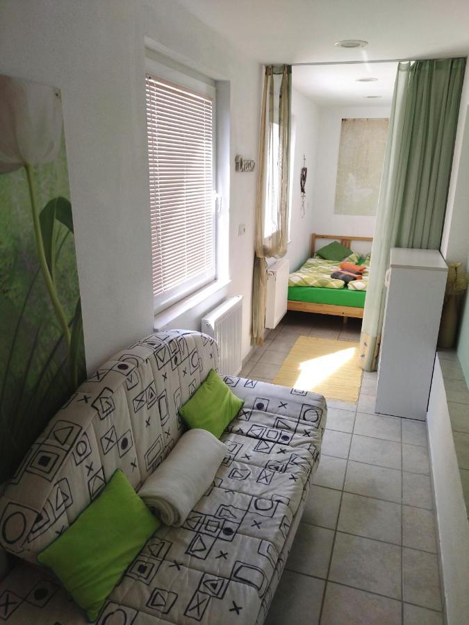 Apartma Peter1A เบกุนเย นา โกเรนิสเคม ภายนอก รูปภาพ