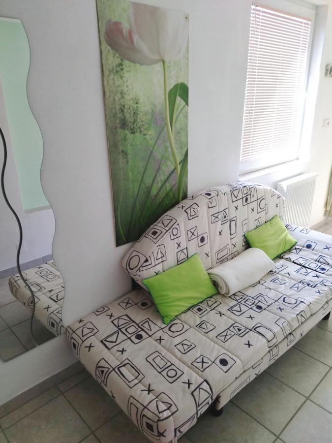 Apartma Peter1A เบกุนเย นา โกเรนิสเคม ภายนอก รูปภาพ